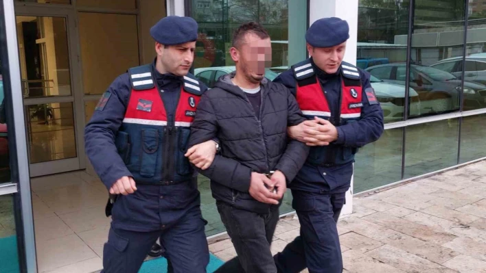 Samsun'da bağ evlerinden hırsızlık yapan şahıs tutuklandı