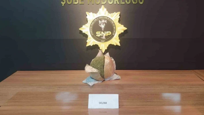 Şanlıurfa'da durdurulan otobüsten uyuşturucu çıktı