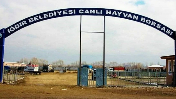 Şap hastalığından dolayı Iğdır hayvan pazarı kapatıldı