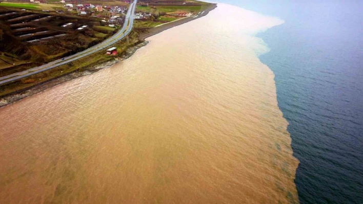 Sel suları Van Gölü'nü kahverengiye boyadı