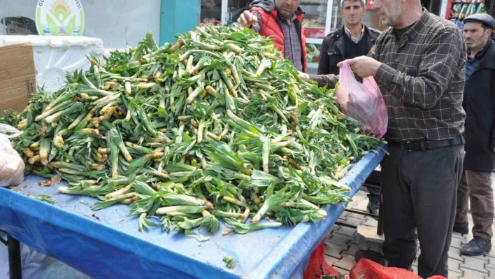 Şifa kaynağı 'Çiriş' otu tezgahlardaki yerini aldı