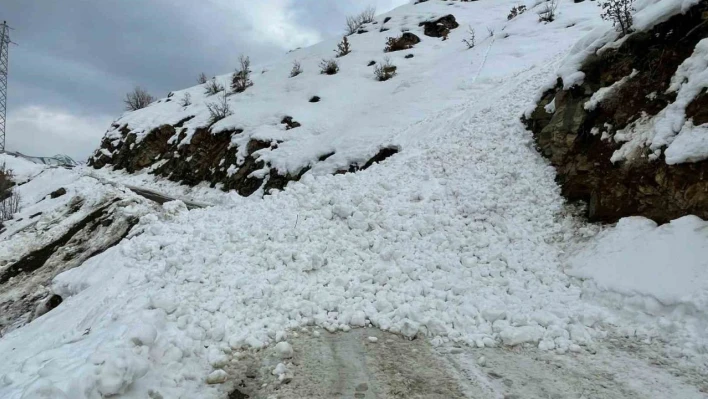 Siirt'te çığ düşmesi sonucu öğrenci ve öğretmenler yolda mahsur kaldı