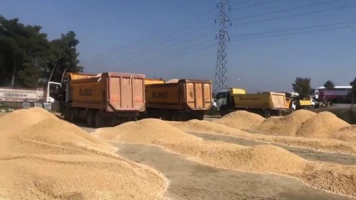 Siirt'ten giden ekip Hatay'da şantiye kurdu