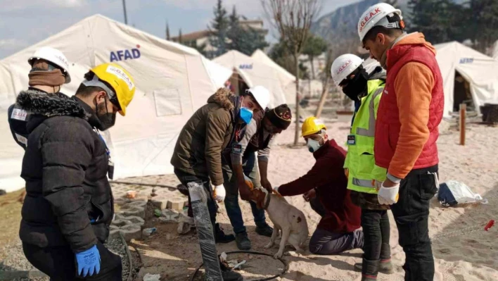 Sinop'tan afet bölgesine mama yardımı