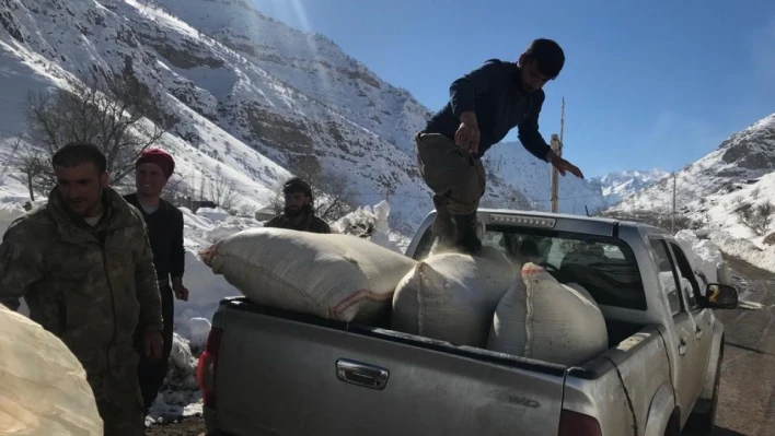 Şırnak'tan deprem bölgesine yem desteği