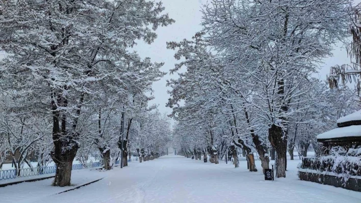 Tatvan'da masalsı kar manzaraları