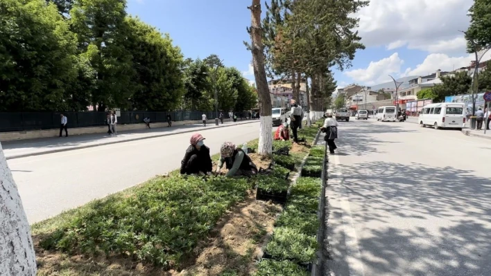 Tatvan kadın eliyle güzelleşiyor