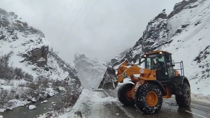 Tunceli'de 1 ilçede tüm okullar tatil edildi, 5 ilçede taşımalı eğitime ara verildi