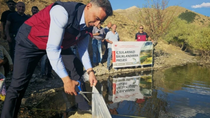 Tunceli'de 1 milyon 670 bin yavru sazan salındı