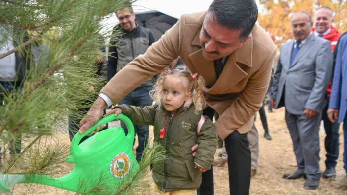 Tunceli'de 35 bin fidan toprakla buluşturuldu