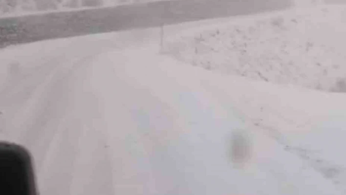 Tunceli'de, kar yağar yağmaz mücadele başladı