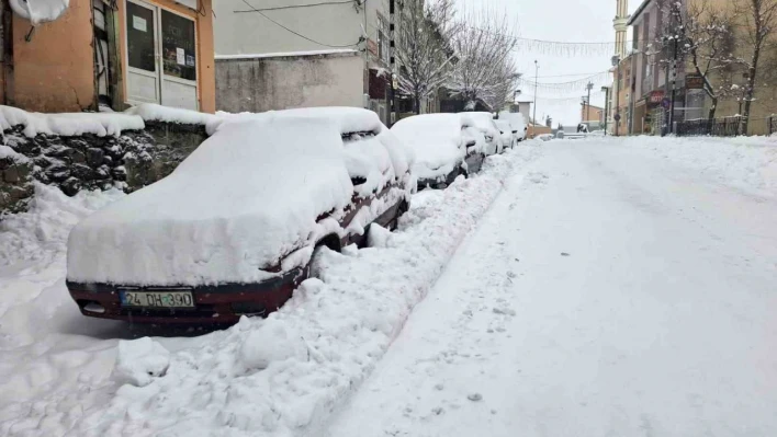 Tunceli'de kar yağışı etkili olmaya başladı