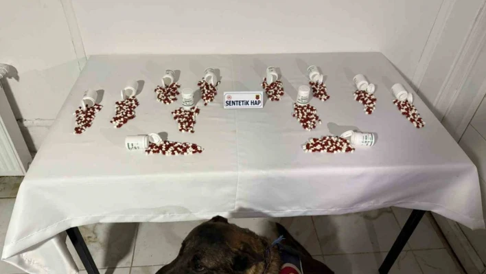 Tunceli'de narkotik köpeği 'Ayar' bagaja zulalanmış uyuşturucuyu buldu: 2 şüpheli yakalandı