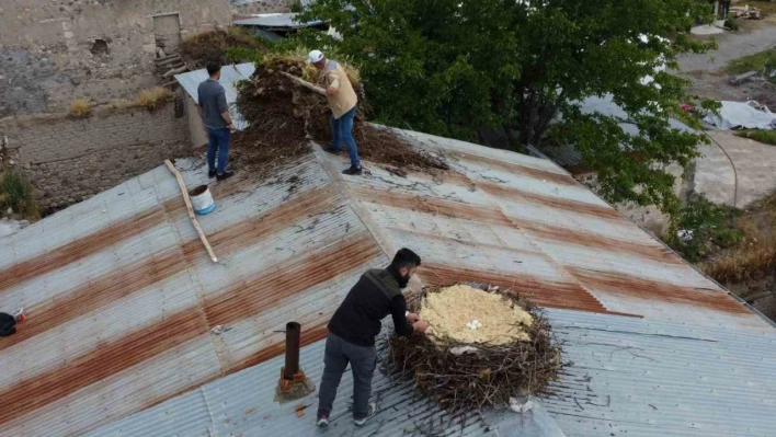 Tunceli'de örnek davranış: Hasarlı binaların çatılarındaki leylek yuvaları güvenli yere taşındı