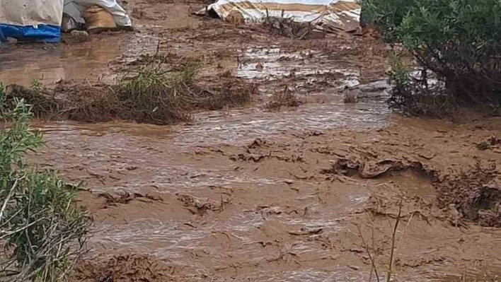 Tunceli'de sağanak nedeni ile yaylacıların çadırlarını su bastı