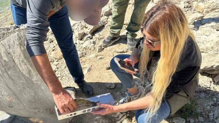 Tunceli'de yasak ağ kullanan ve boy limitine uymayan şahıslara ceza kesildi