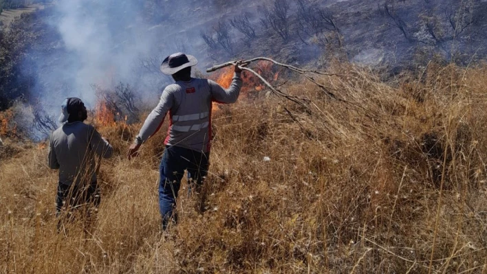 Tunceli'deki yangın ormanlık alana sıçramadan söndürüldü