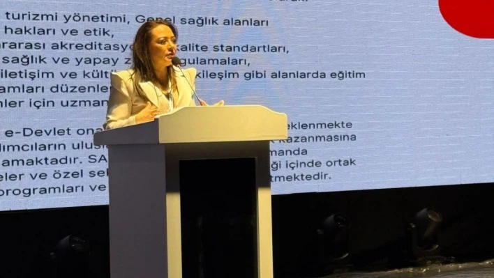 Türkiye'nin sağlık turizmi vizyonu Türk-Arap Ekonomik Zirvesi'nde anlatıldı