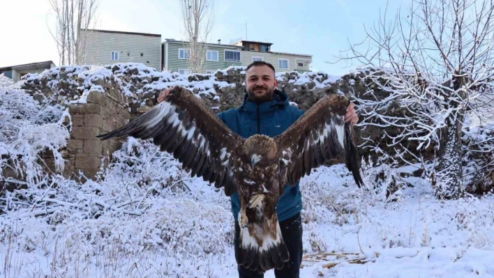 Uçamayan kartalı arabasına alıp tedavi için ilçeye getirdi