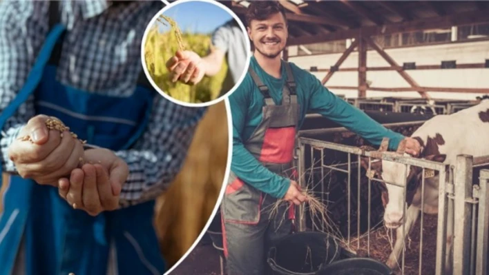 Uzman Eller projeleri için ek süre imkanı getirildi