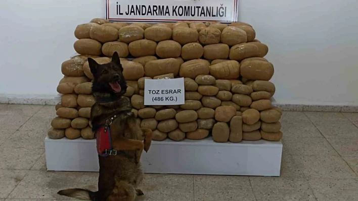 Van'da 486 kilogram toz esrar ele geçirildi