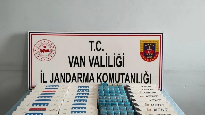 Van'da gümrük kaçakçılığı operasyonu