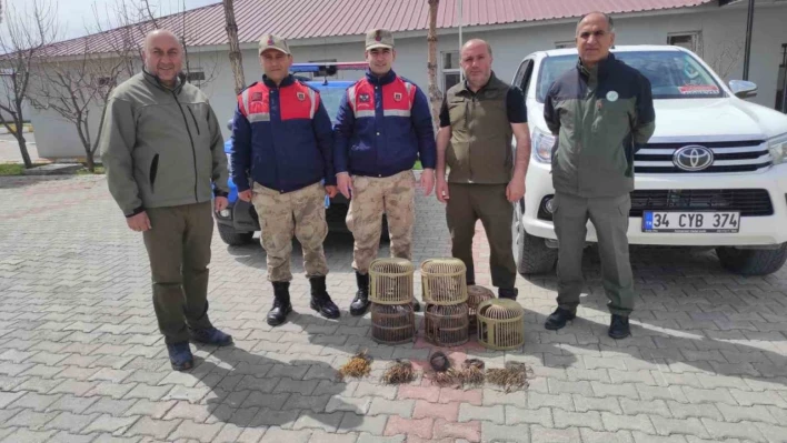 Van'da kafes avcılığı yapan 4 kişi jandarmaya takıldı