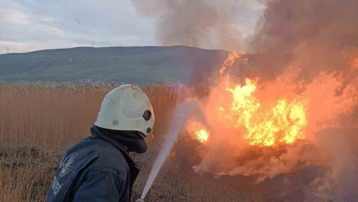 Van'da sazlık alanlarda yangın