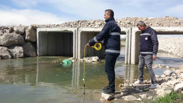 Van Gölü'ndeki inci kefallerinin göçü geç başlayacak