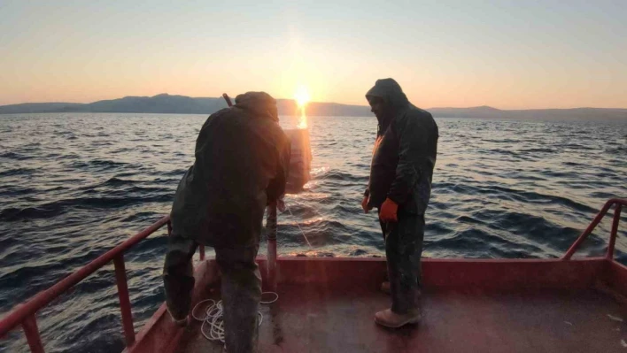 Van Gölü'nün mavi sularında ekmek mücadelesi