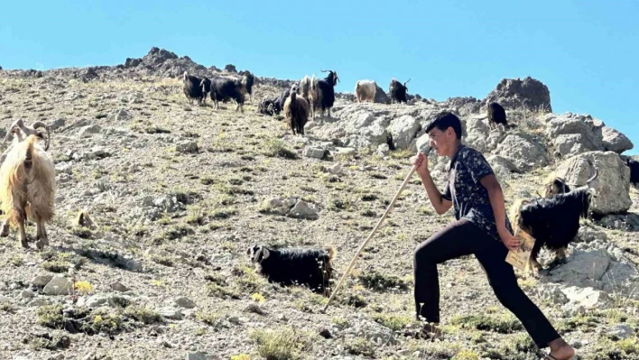 Yaylada çobanlık yapan ve LGS'de Türkiye ikincisi olan Muhammet'in kazandığı lise belli oldu