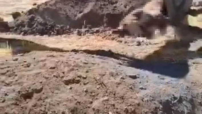 Yazıkonak'ta ölü hayvanın yerleşim alanına gömülmesine vatandaştan tepki