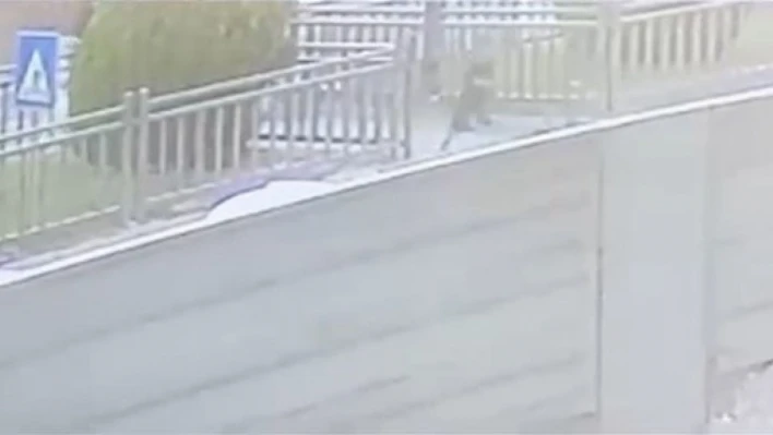 Yola fırlayan çocuk aracın altında kalmaktan son anda kurtuldu