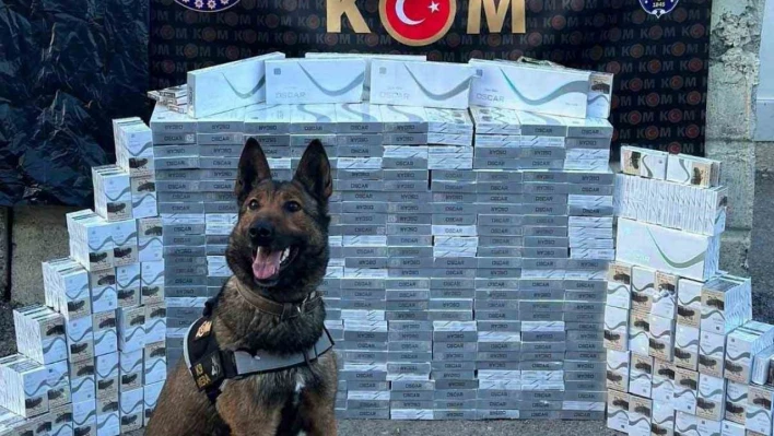 Yolcu otobüsünde 3 bin 400 paket kaçak sigara ele geçirildi