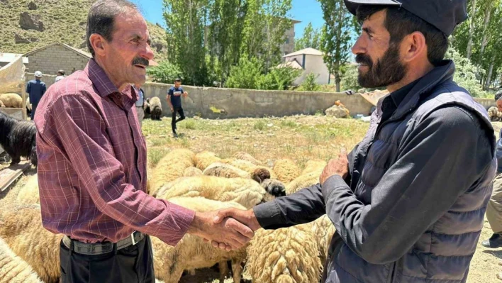 Yüksekova'da kurbanlık satışları devam ediyor