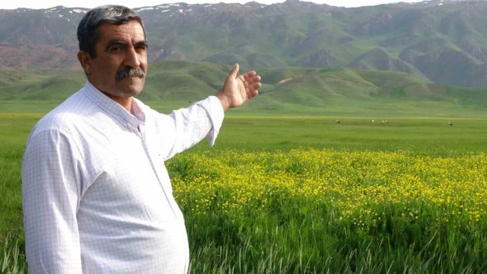 Yüksekova'ya gelen leyleklere türkülü karşılama