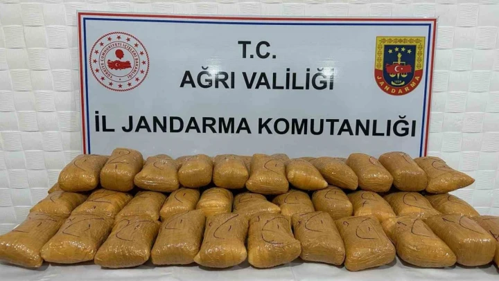 Kaçak göçmenler uyuşturucuyla yakalandı