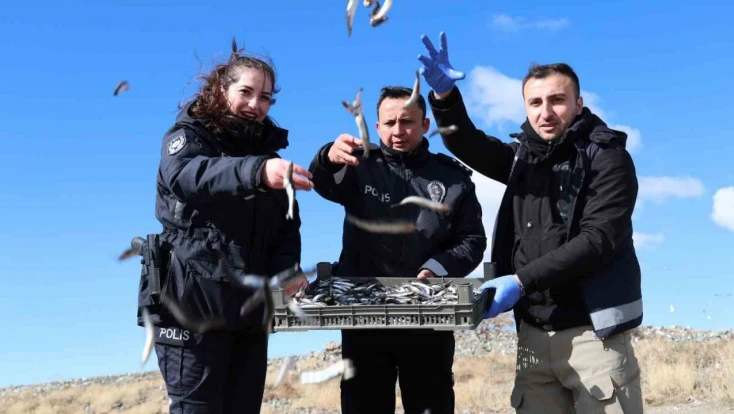 Doğu'nun gizli denizinde şefkat eli: Polis ekipleri martı ve tavşanları unutmadı