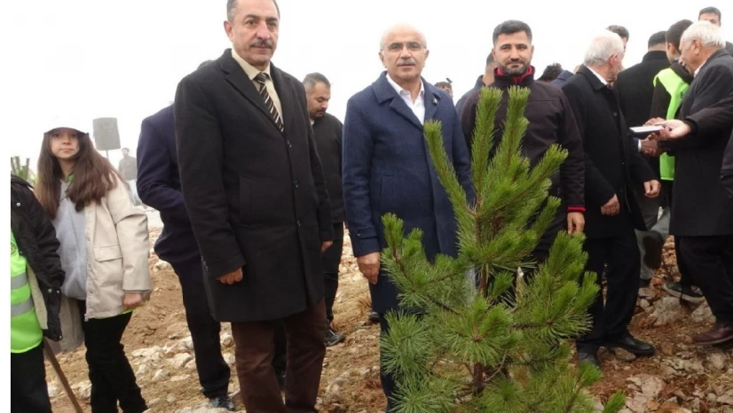 Beydağı'nın etekleri 10 bin 444 ağaçla geleceğe nefes oldu