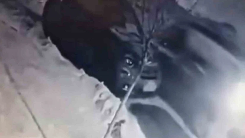 Buzda kayan araç park halindeki otomobile çarptı