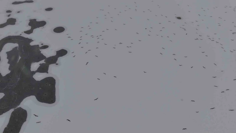 Cip Baraj Gölü buz tuttu