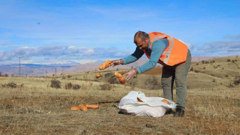 Elaızığ'da doğaya yem bırakıldı