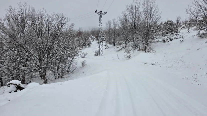 Elazığ'da kar başladı, 311  köy yolu ulaşıma kapandı