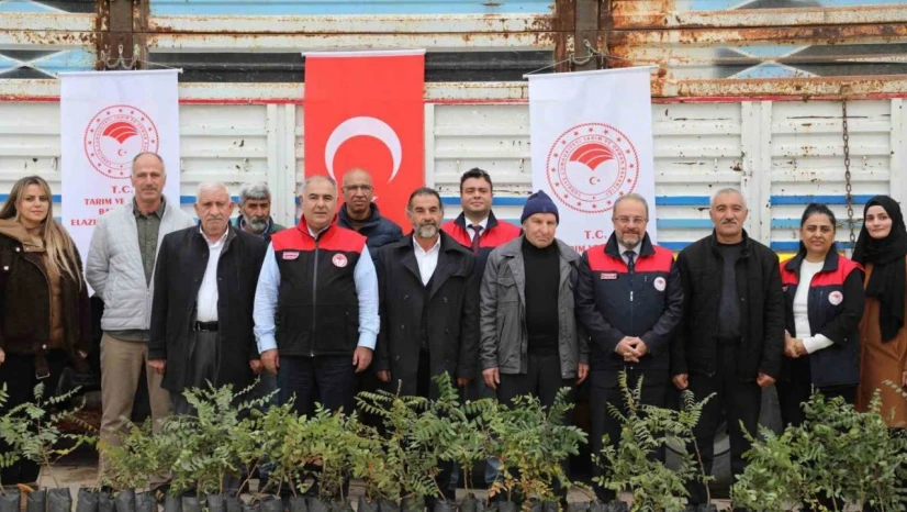 Elazığ'da sumak üretimi artıyor