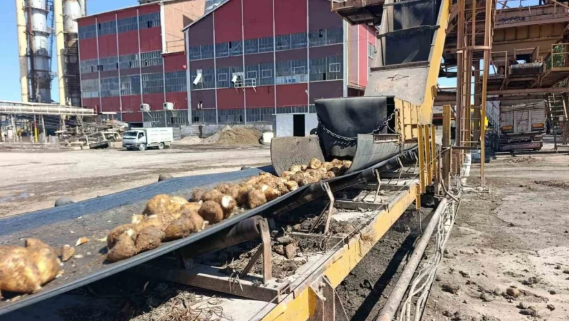 Malatya Şeker Fabrikası'nda 62 bin ton şeker üretimi hedefleniyor