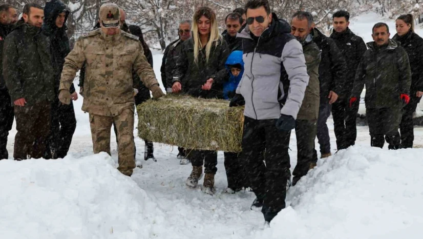 Vali Aygöl, yaban hayvanları için kolları sıvadı