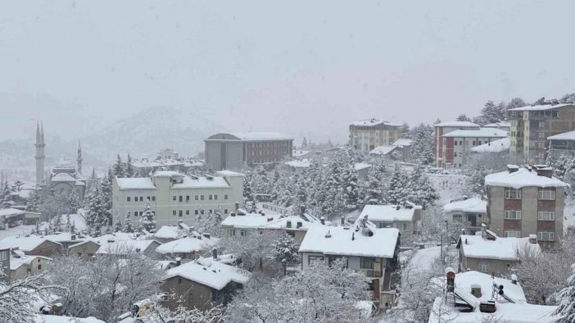 Arapgir beyaza büründü