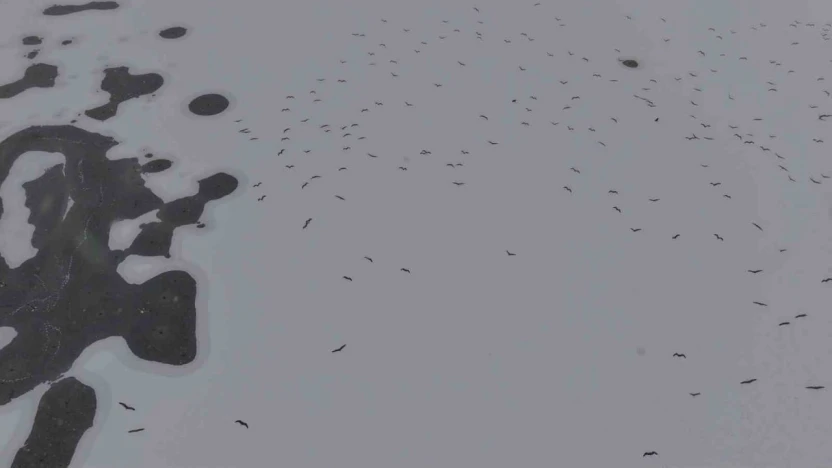 Cip Baraj Gölü buz tuttu