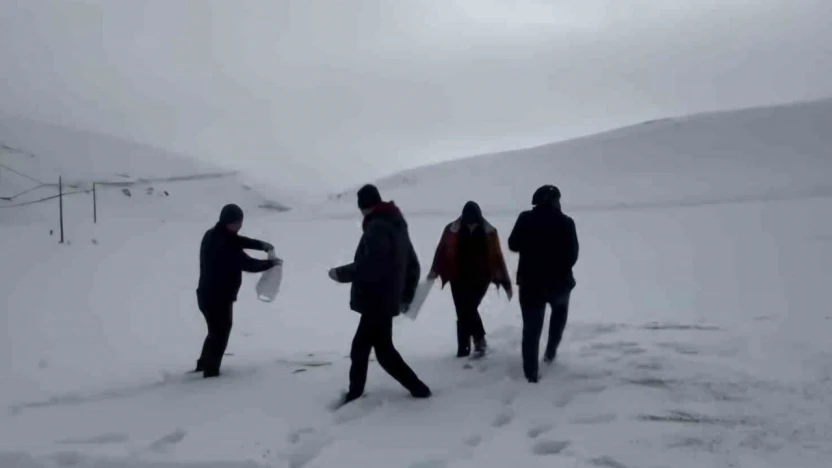 Darende'de öğretmen ve öğrencilerden yaban hayvanlarını unutmadı