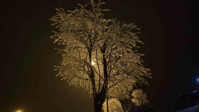 Elazığ'da ağaçlar kırağı tuttu